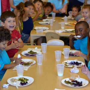 kids-lunch